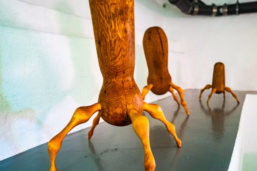 Southern Sweden Design Days 2023